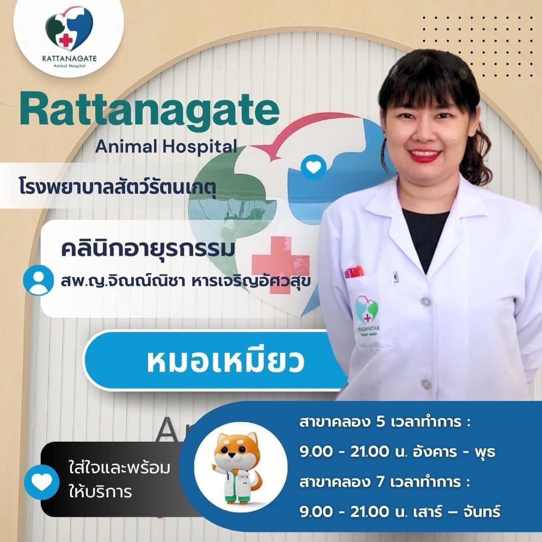 สพ.ญ.จิณณ์ณิชา หาญเจริญอัศวสุข (หมอเหมียว)