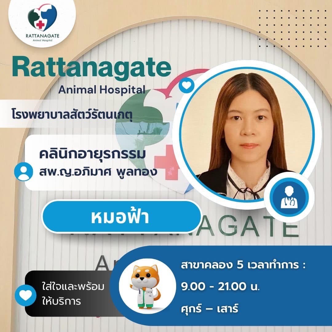 สพ.ญ.อภิมาศ พูลทอง (หมอฟ้า)