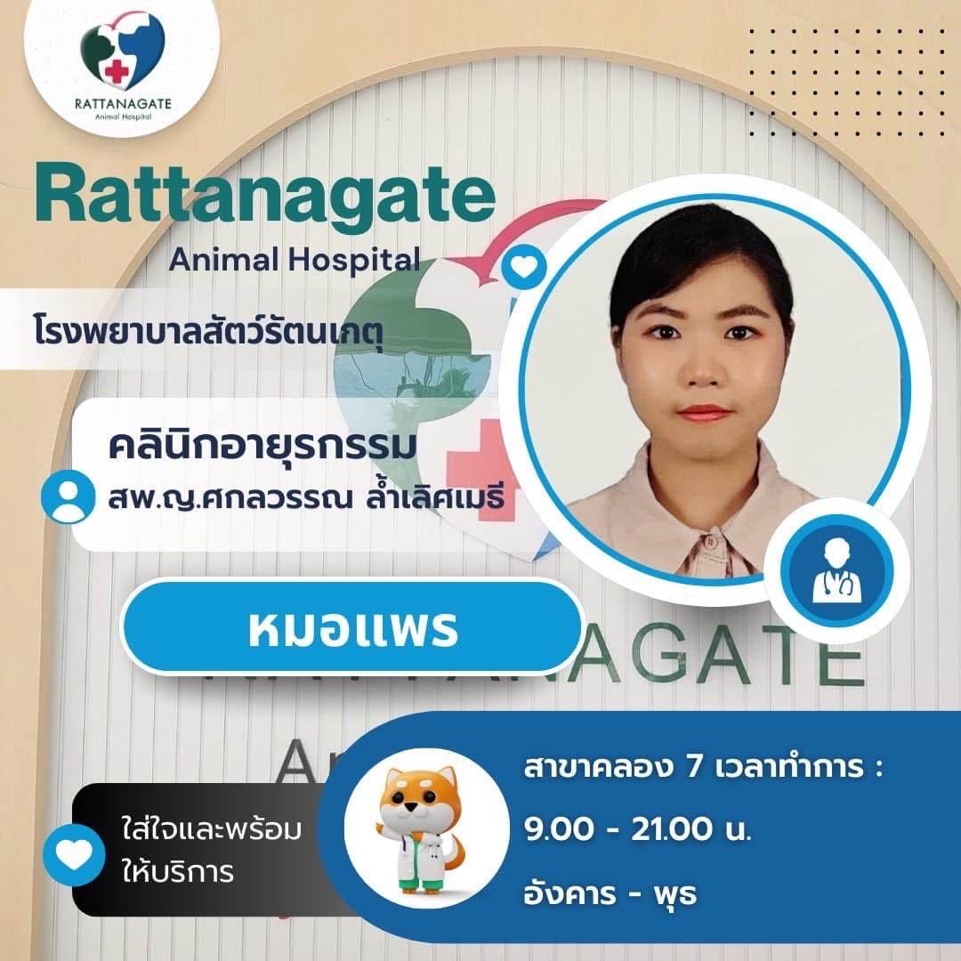 สพ.ญ.ศกลวรรณ ล้ำเลิศเมธี (หมอแพร)