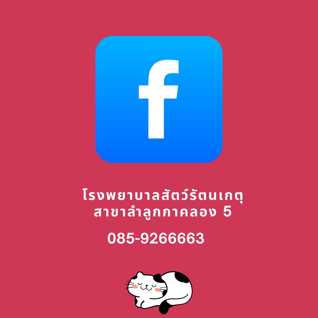 โรงพยาบาลสัตว์รัตนเกตุ สาขาคลอง 5