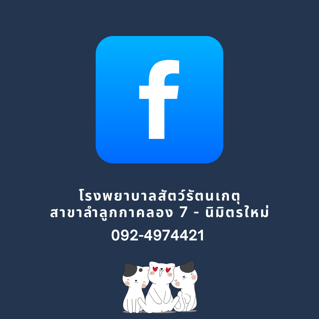 โรงพยาบาลสัตว์รัตนเกตุ สาขาคลอง 7 นิมิตรใหม่